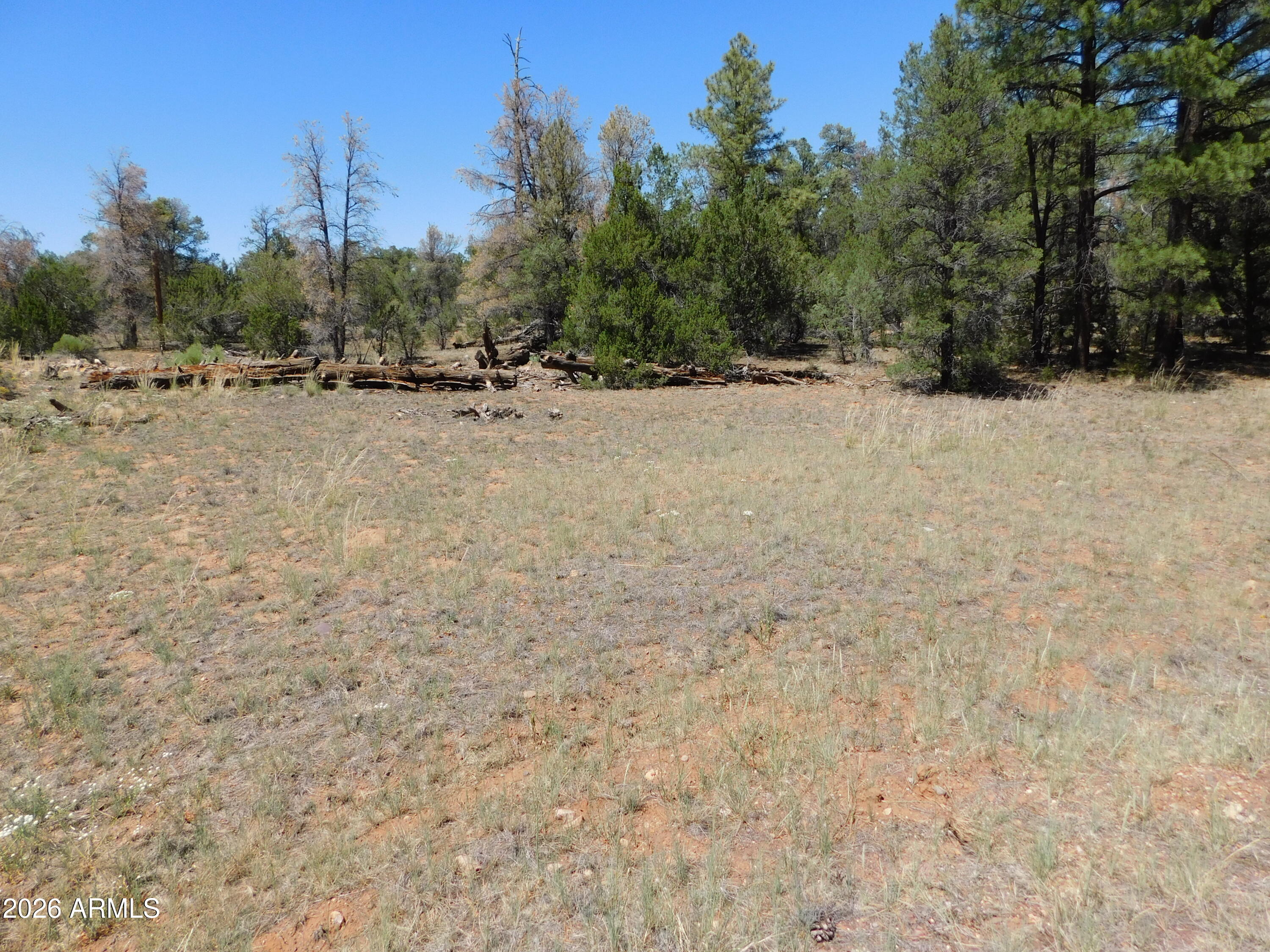 3100 Pinewood Drive, Unit 83B Overgaard, AZ 85933 - Photo 2 of 4 DSCN5127