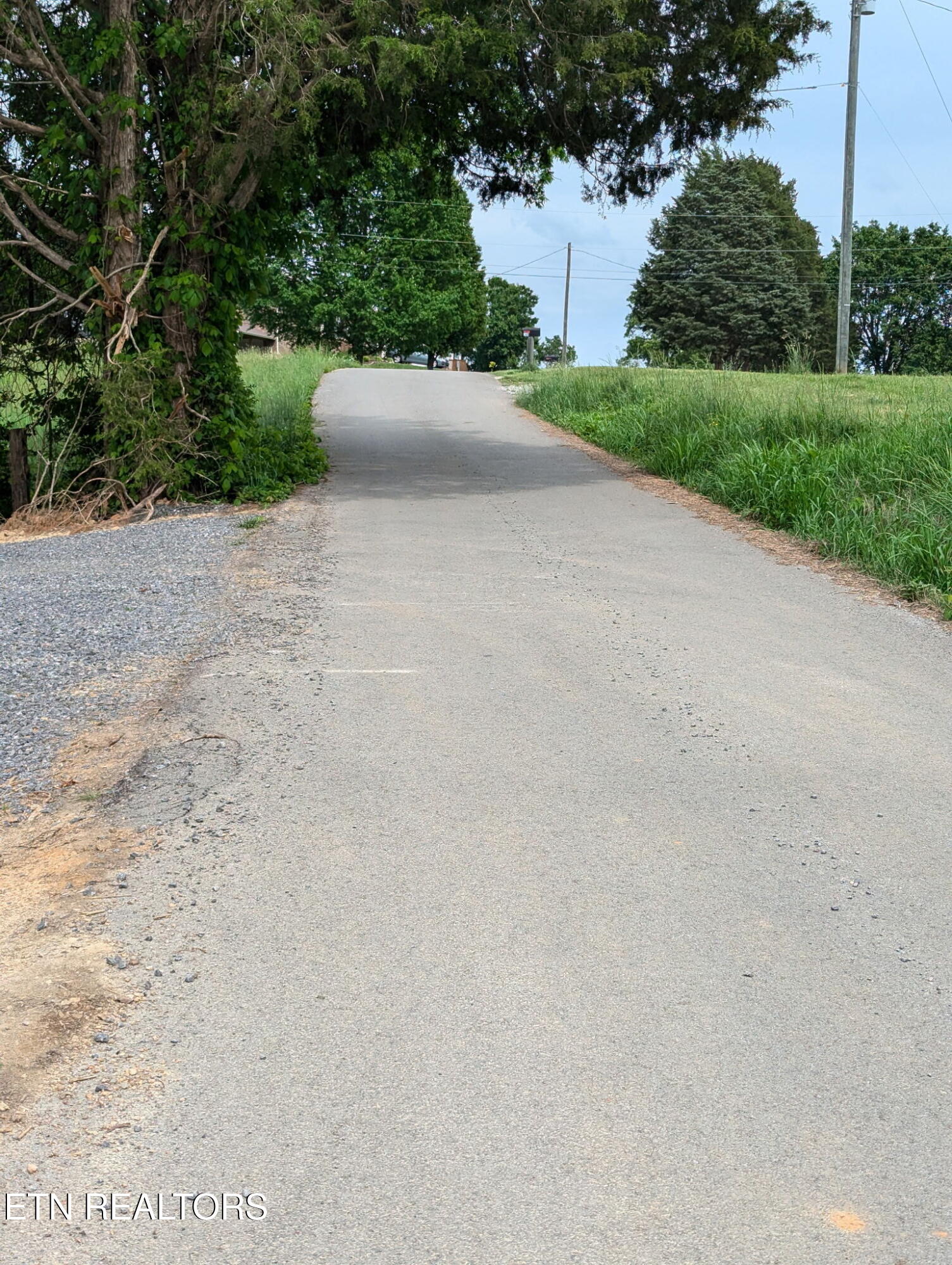 Graham Road Blaine, TN 37709 - Photo 3 of 7 1000001046