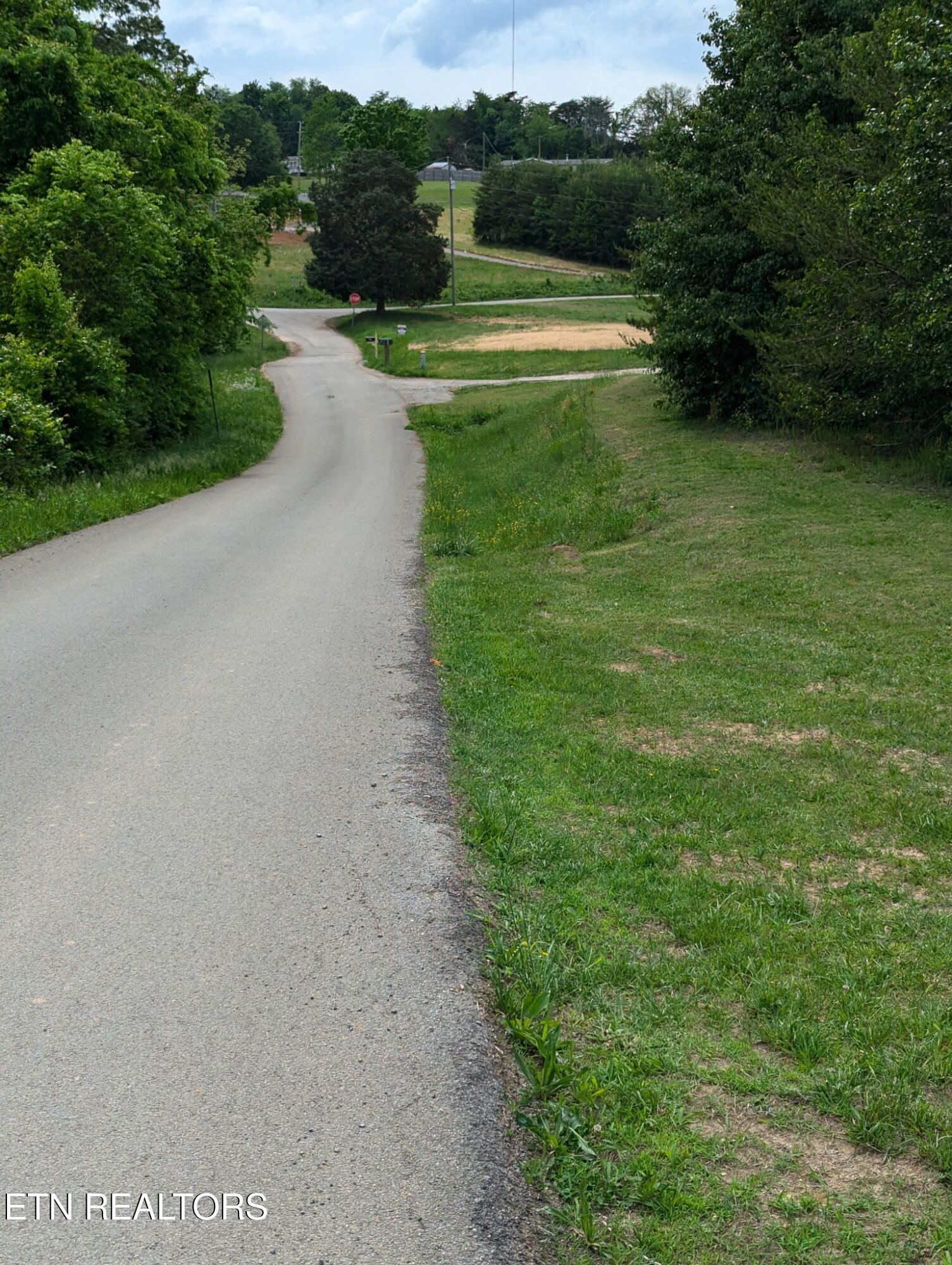 Graham Road Blaine, TN 37709 - Photo 4 of 7 1000001047