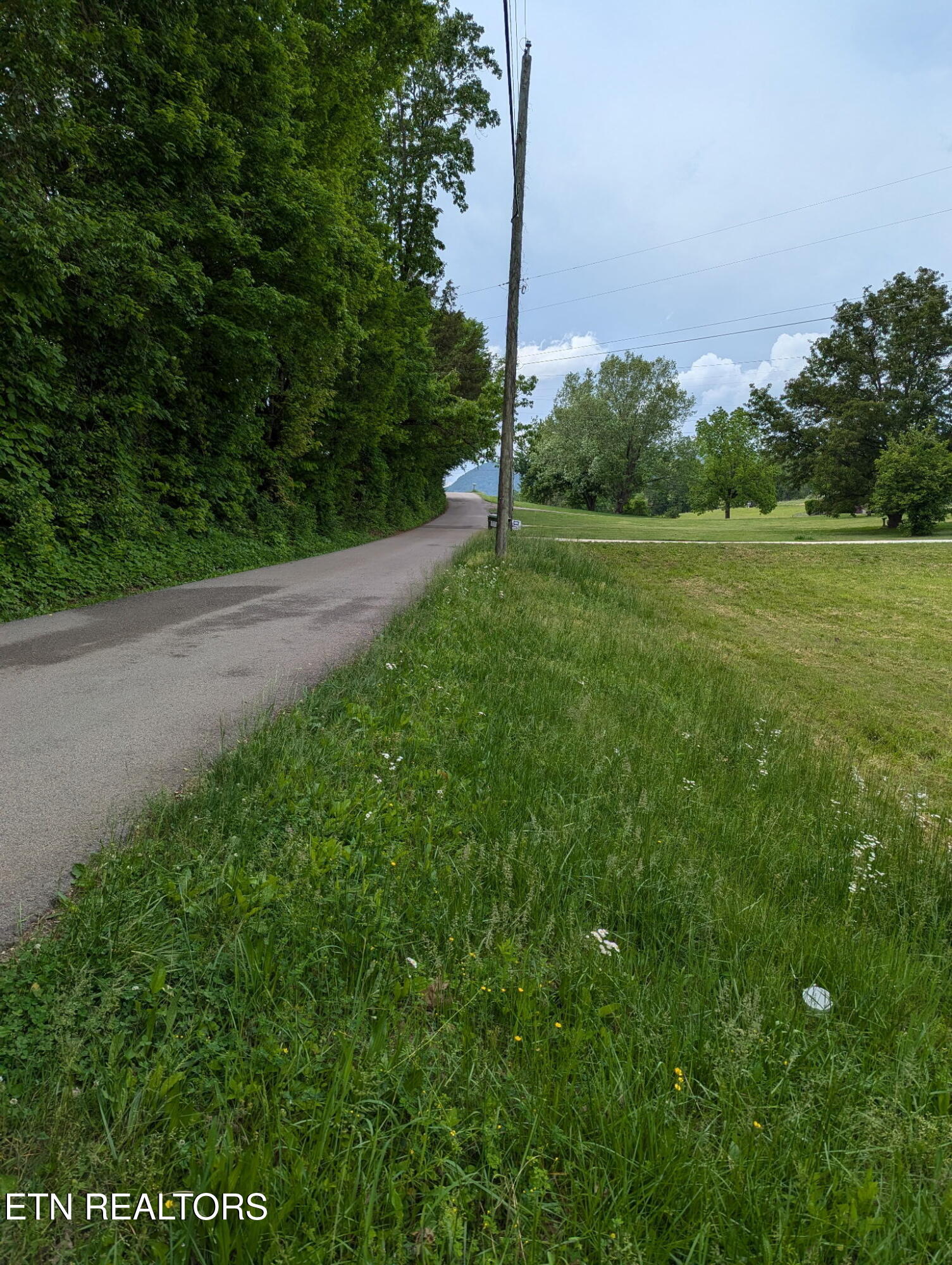 Graham Road Blaine, TN 37709 - Photo 5 of 7 1000001056