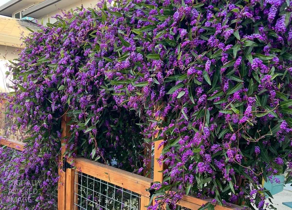 $1,300,000 | 723 Oliver Court, Folsom, CA 95630