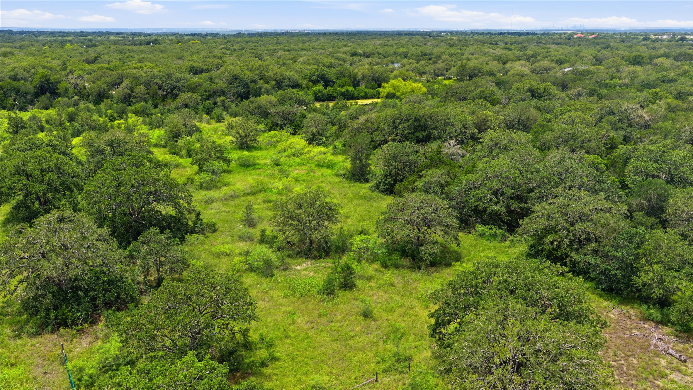 10312 Parsons Road Manor, TX 78653 - Photo 21 of 26 Vast green landscape with plentiful trees, offering a private and natural setting.