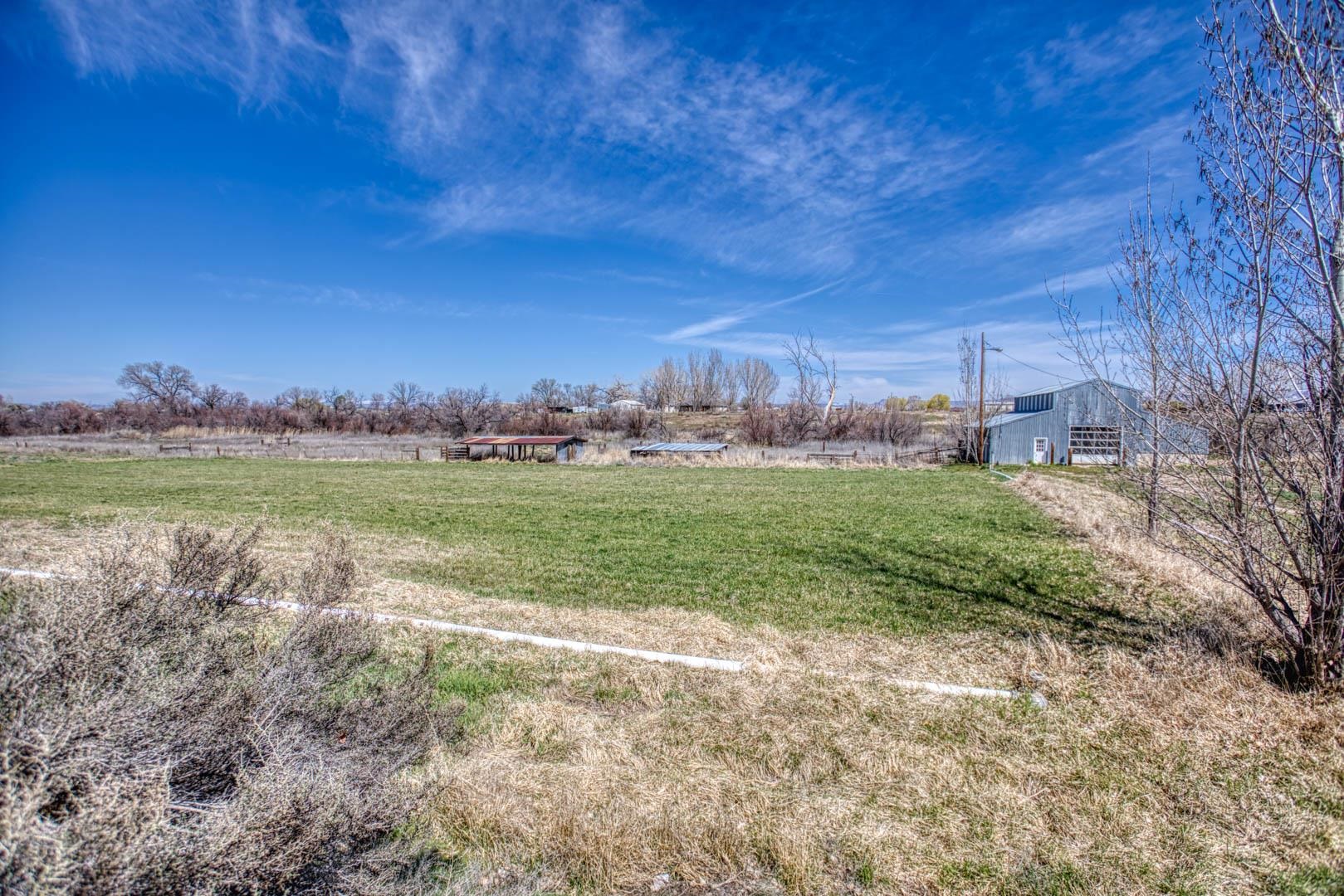 1179 17 Road Fruita, CO 81521 - Photo 33 of 36 a view of a field with an tree and a trees