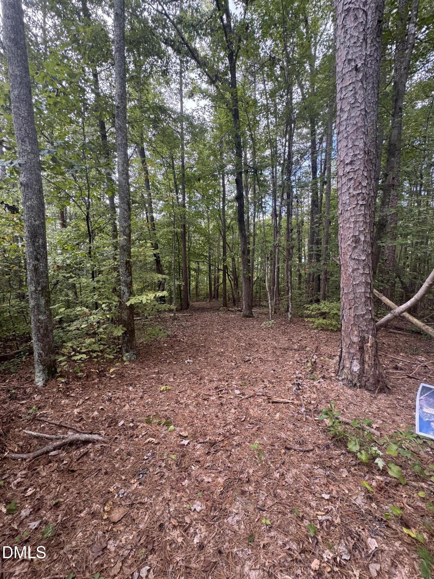 0 New Mayo Drive Roxboro, NC 27574 - Photo 11 of 27 a view of outdoor space and green space