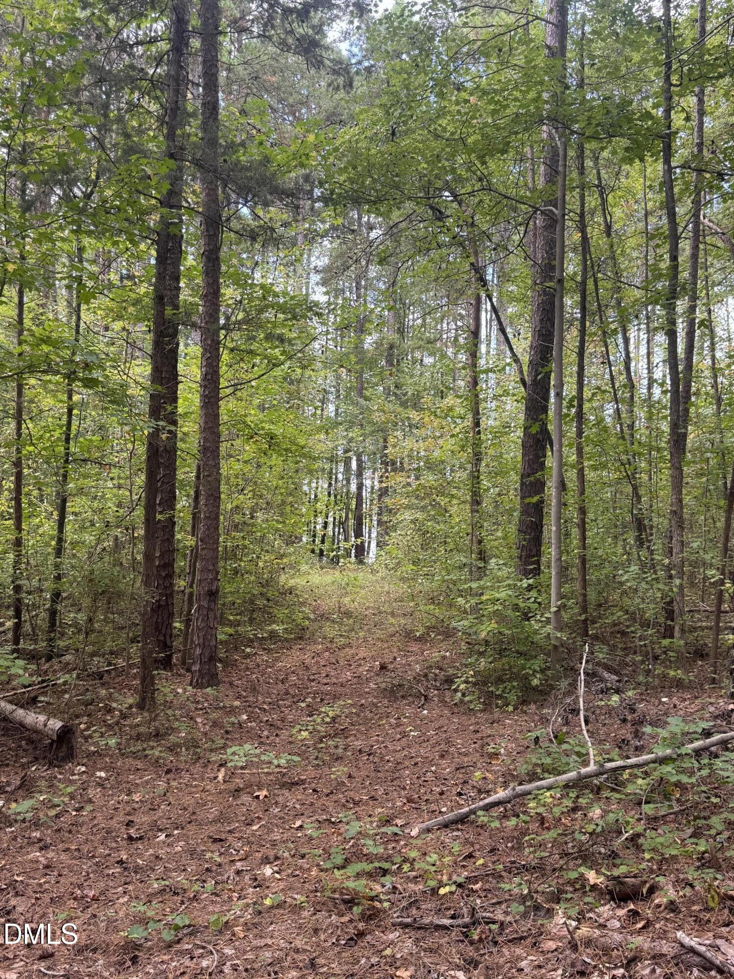 0 New Mayo Drive Roxboro, NC 27574 - Photo 13 of 27 a view of outdoor space and green space