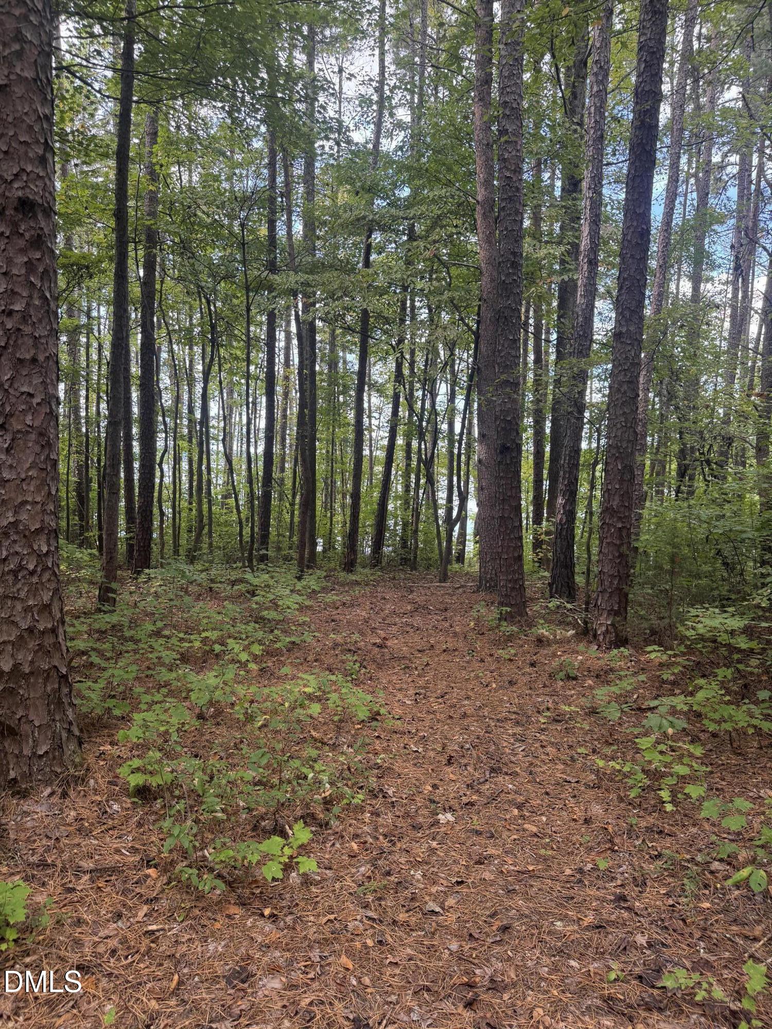 0 New Mayo Drive Roxboro, NC 27574 - Photo 16 of 27 a view of outdoor space and trees