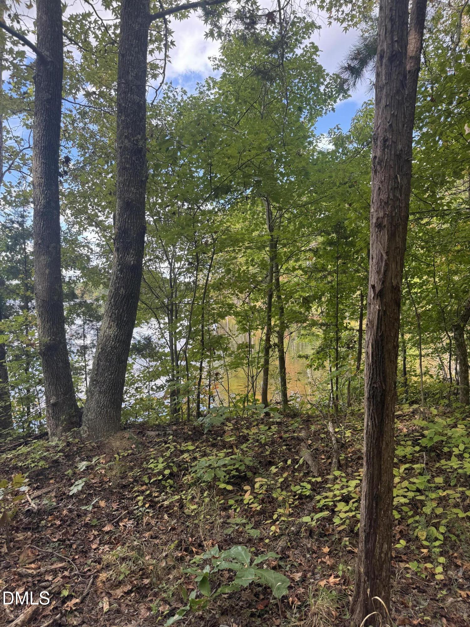 0 New Mayo Drive Roxboro, NC 27574 - Photo 18 of 27 a view of a garden