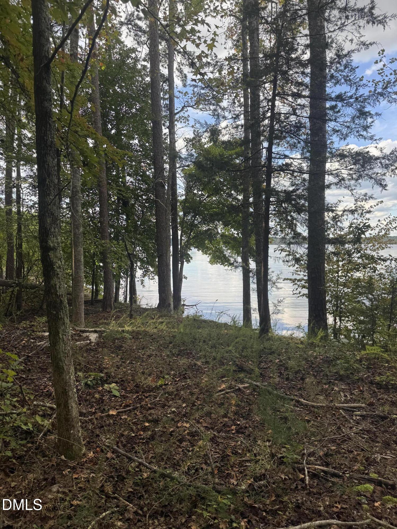 0 New Mayo Drive Roxboro, NC 27574 - Photo 19 of 27 a big yard with lots of green space and trees