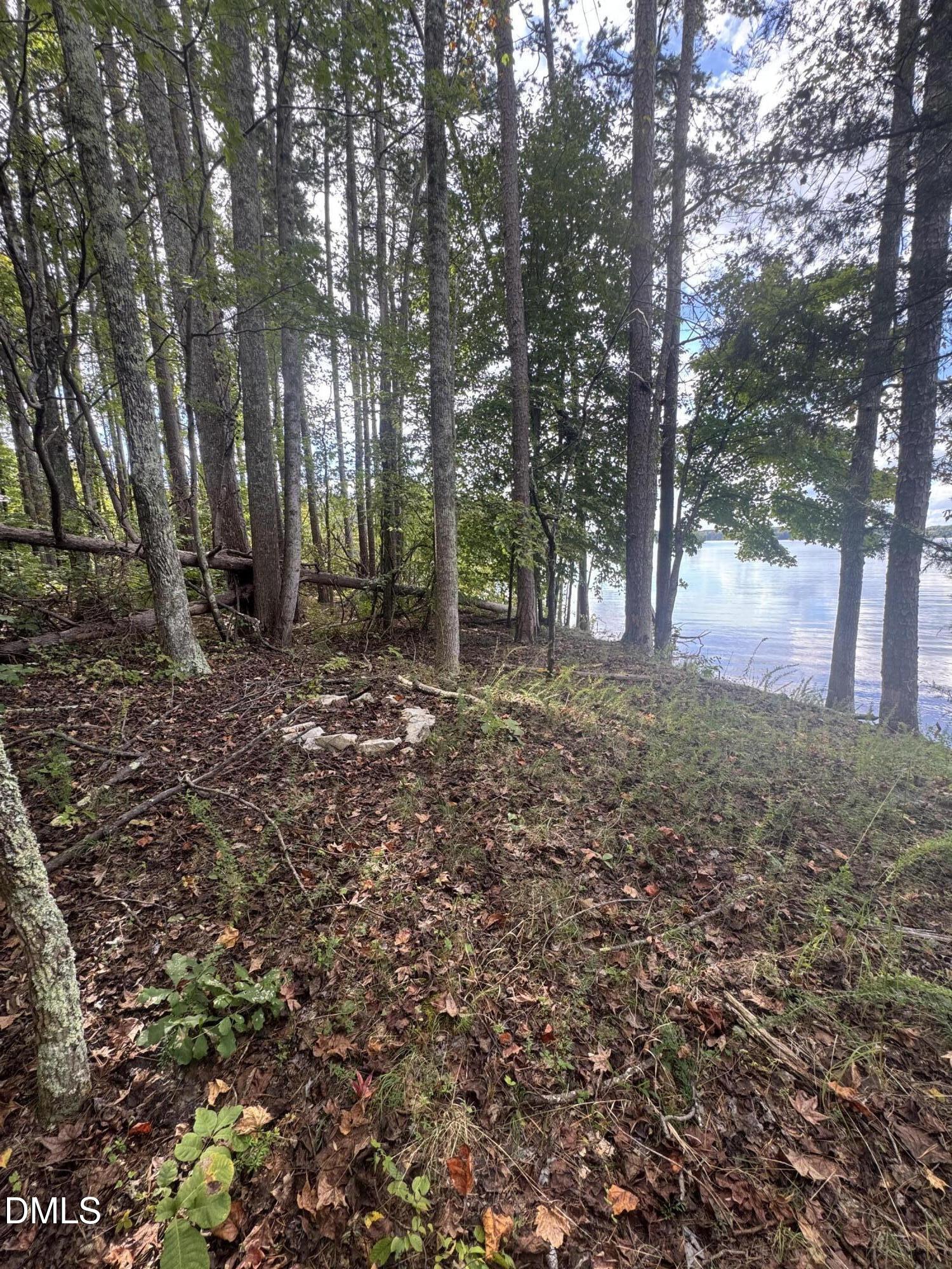 0 New Mayo Drive Roxboro, NC 27574 - Photo 20 of 27 a backyard of a house with lots of green space