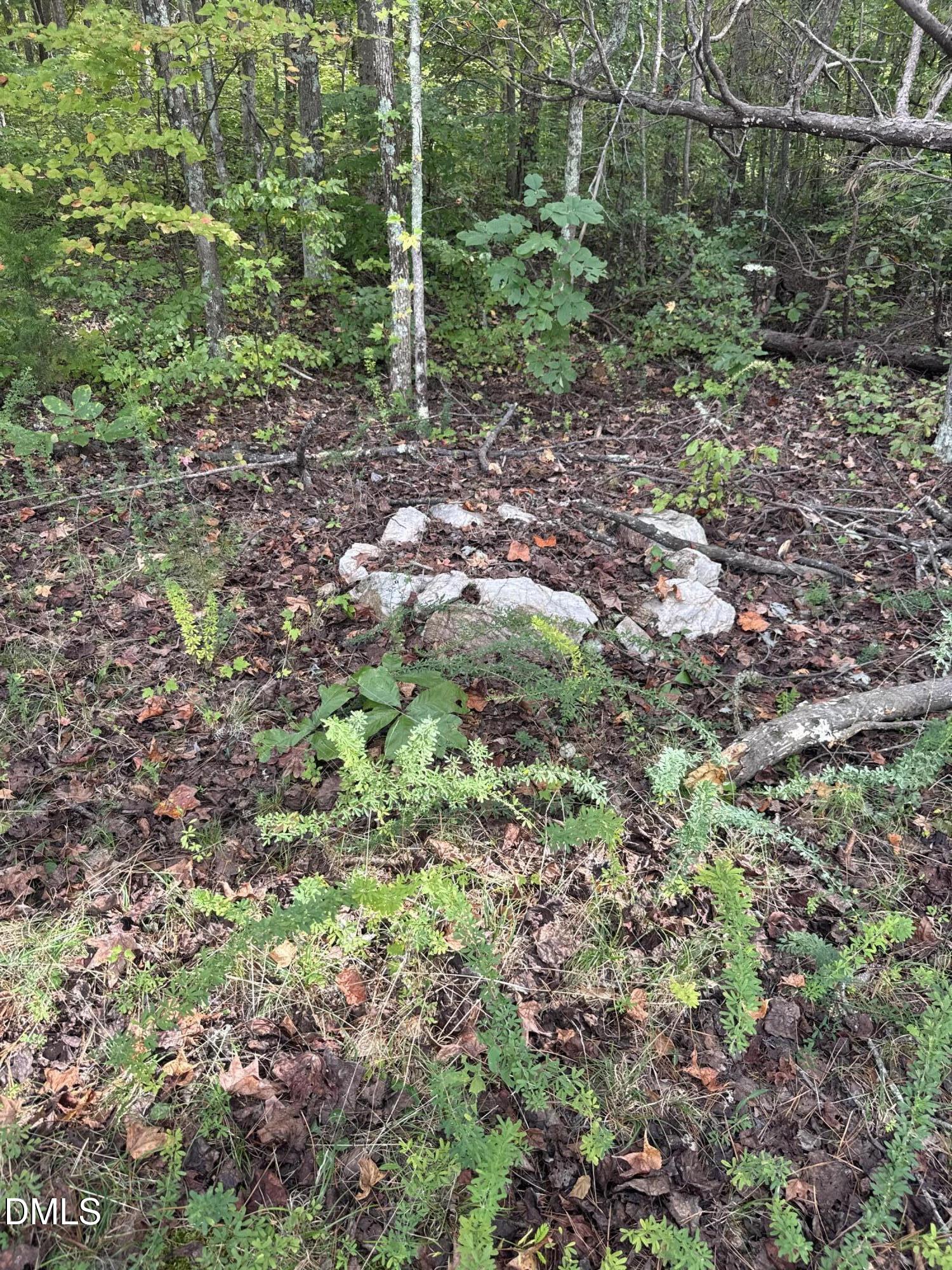 0 New Mayo Drive Roxboro, NC 27574 - Photo 27 of 27 a view of a forest that has a tree