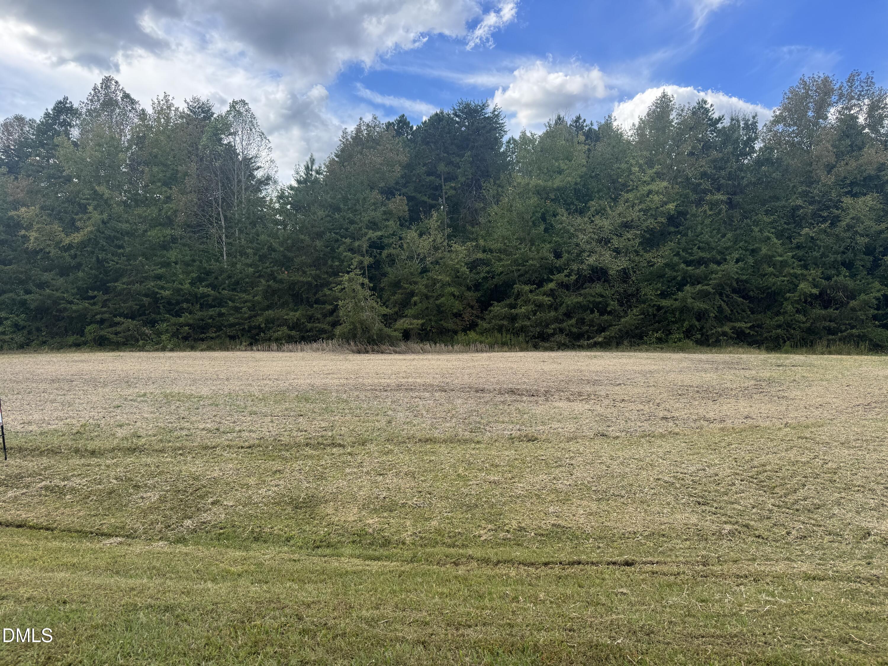 0 New Mayo Drive Roxboro, NC 27574 - Photo 5 of 27 a view of an ocean and trees