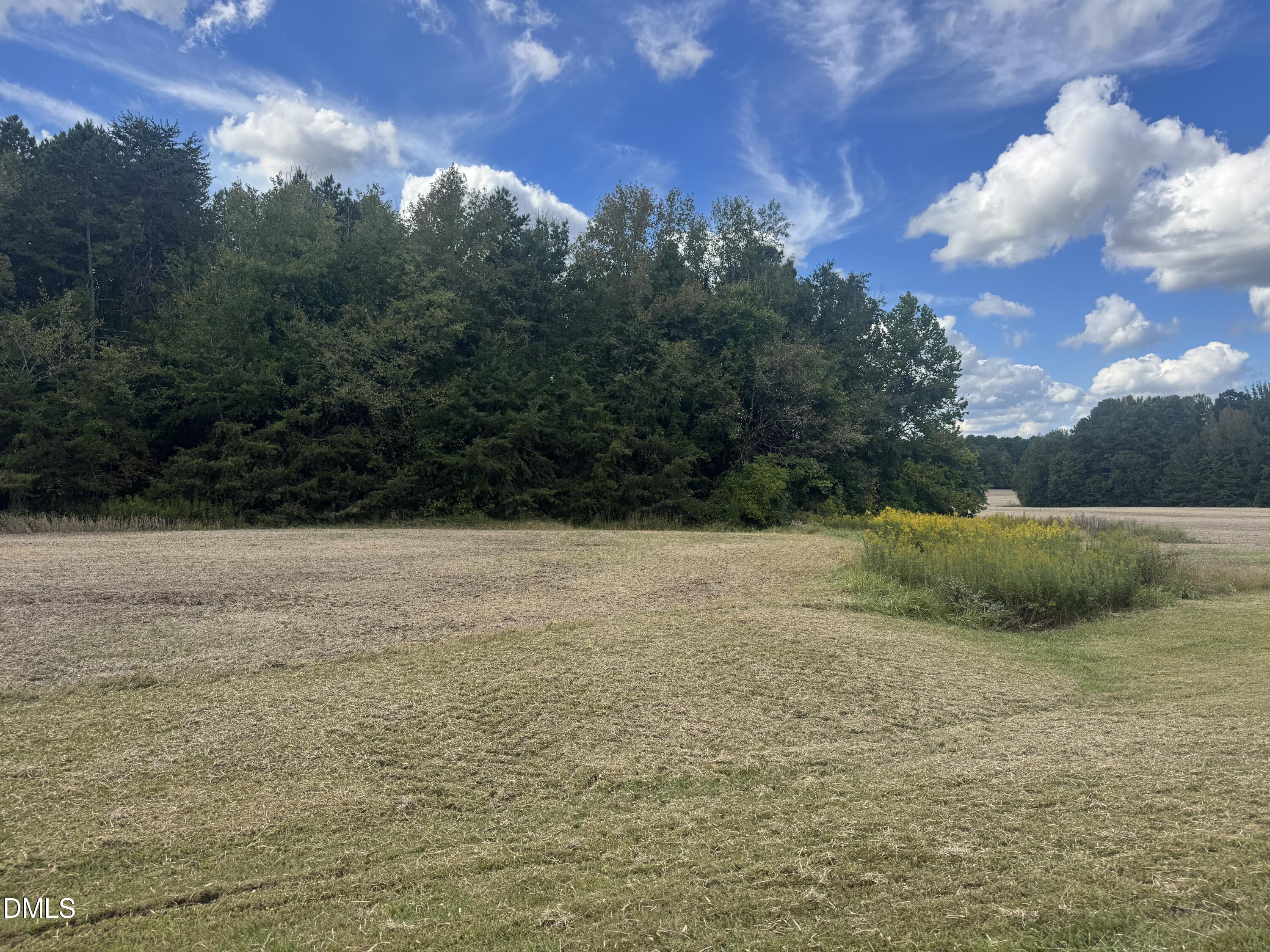 0 New Mayo Drive Roxboro, NC 27574 - Photo 6 of 27 a view of outdoor space and yard