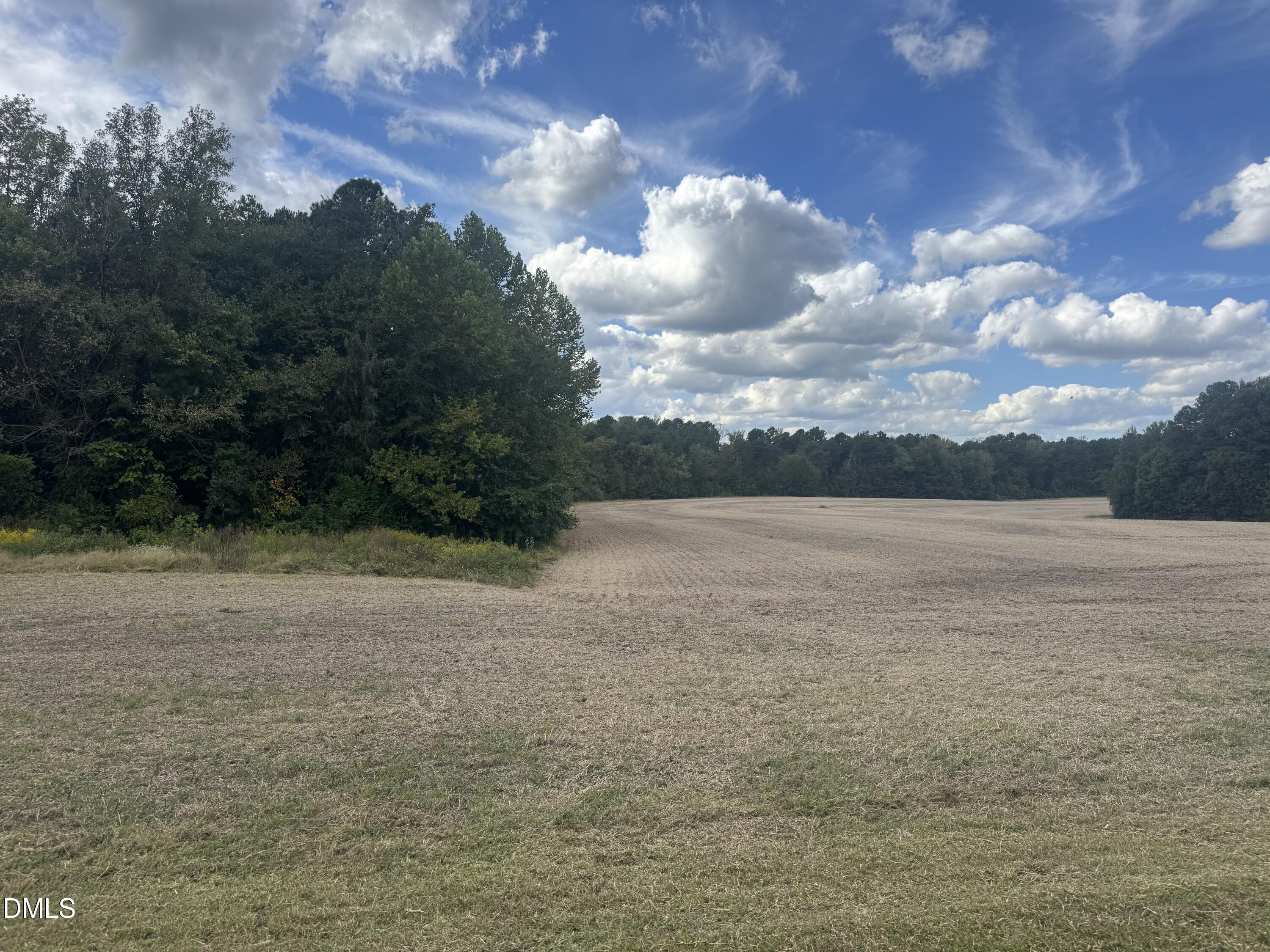 0 New Mayo Drive Roxboro, NC 27574 - Photo 7 of 27 a view of a lake view