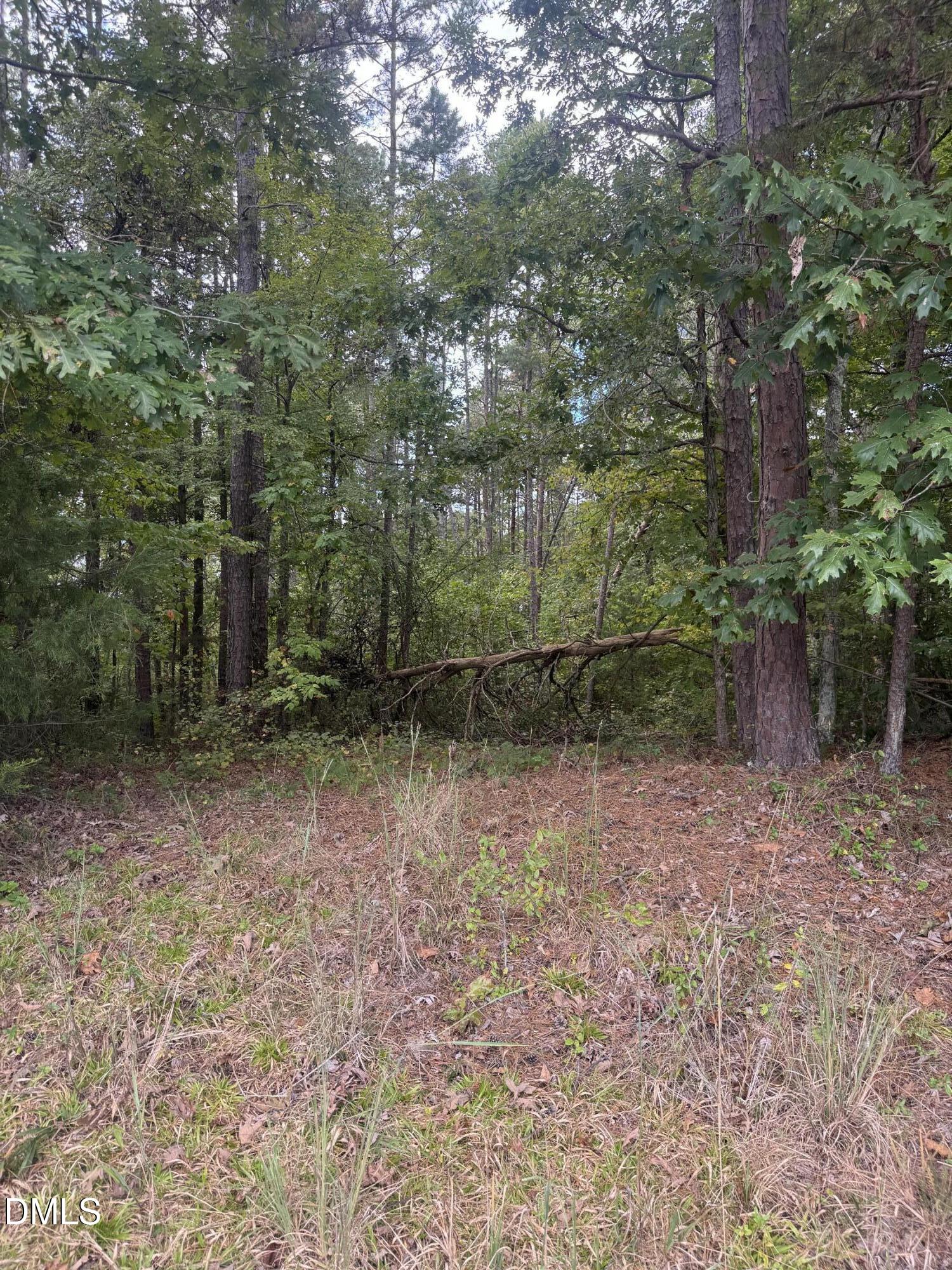 0 New Mayo Drive Roxboro, NC 27574 - Photo 10 of 27 a view of a yard with plants and large trees