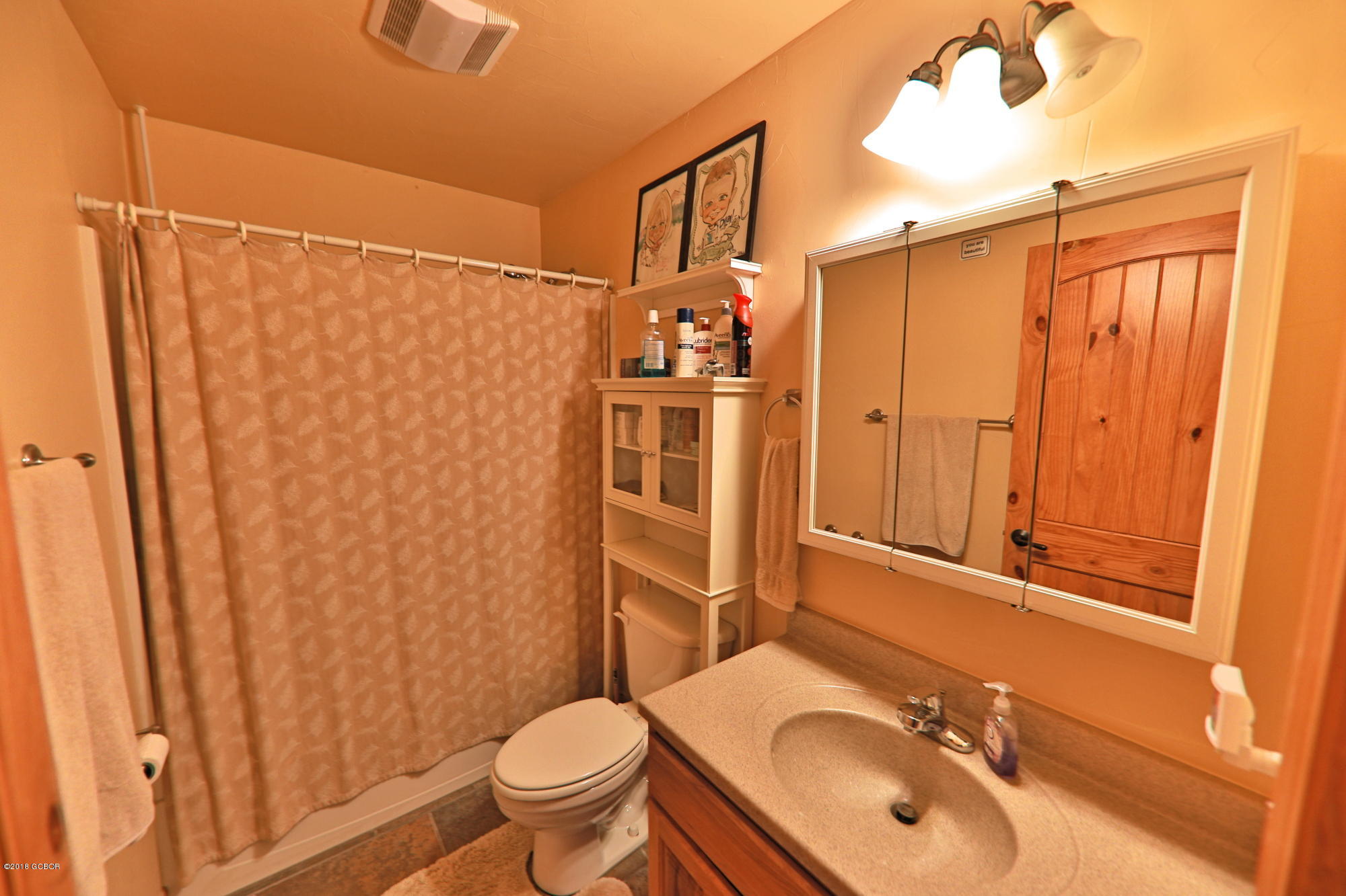 217 Carriage Road Fraser, CO 80442 - Photo 20 of 40 217CARRIAGE_SM0017