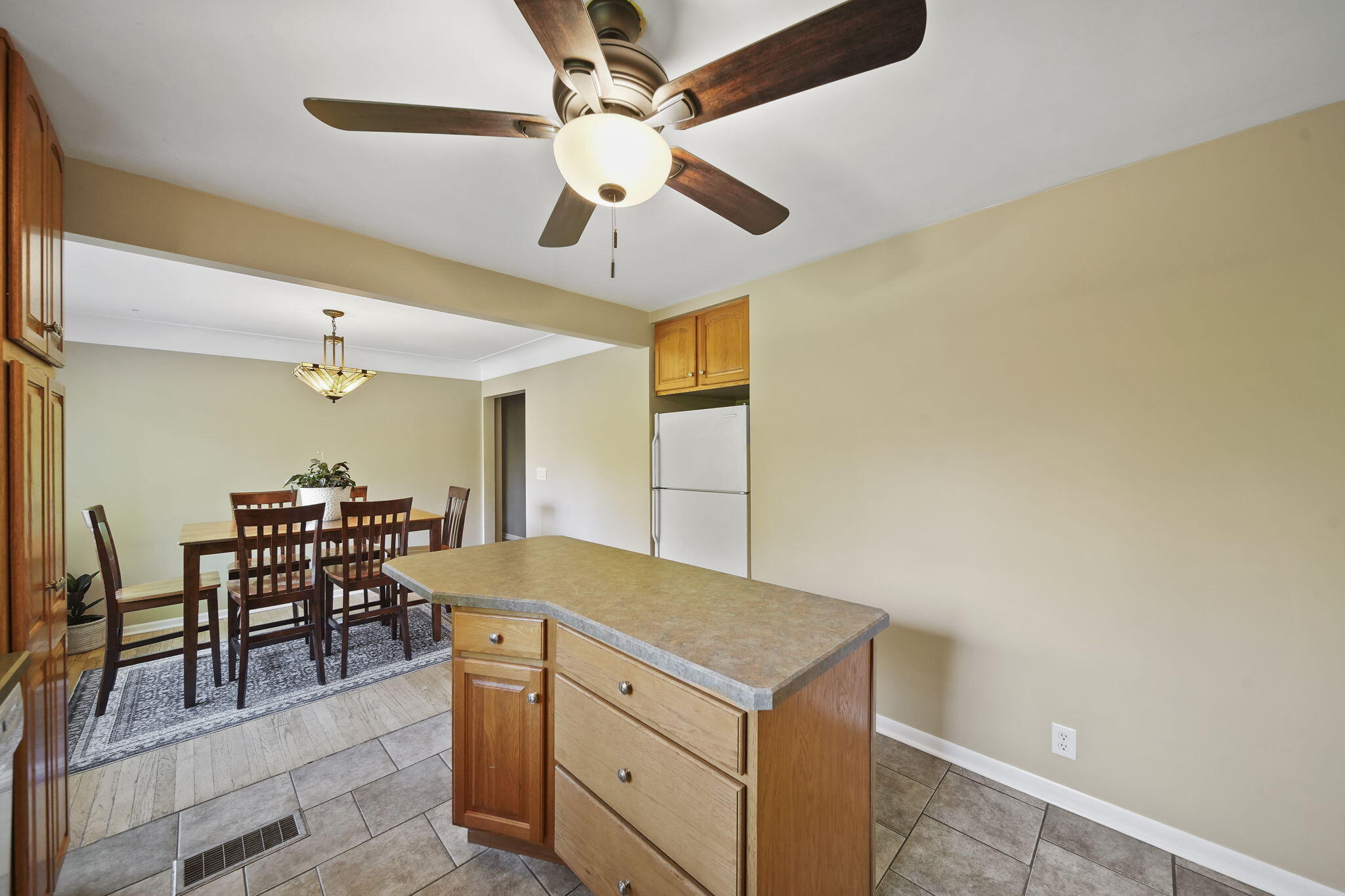 707 Leo Road Jackson, MI 49203 - Photo 23 of 46 24-web-or-mls-DSC05391