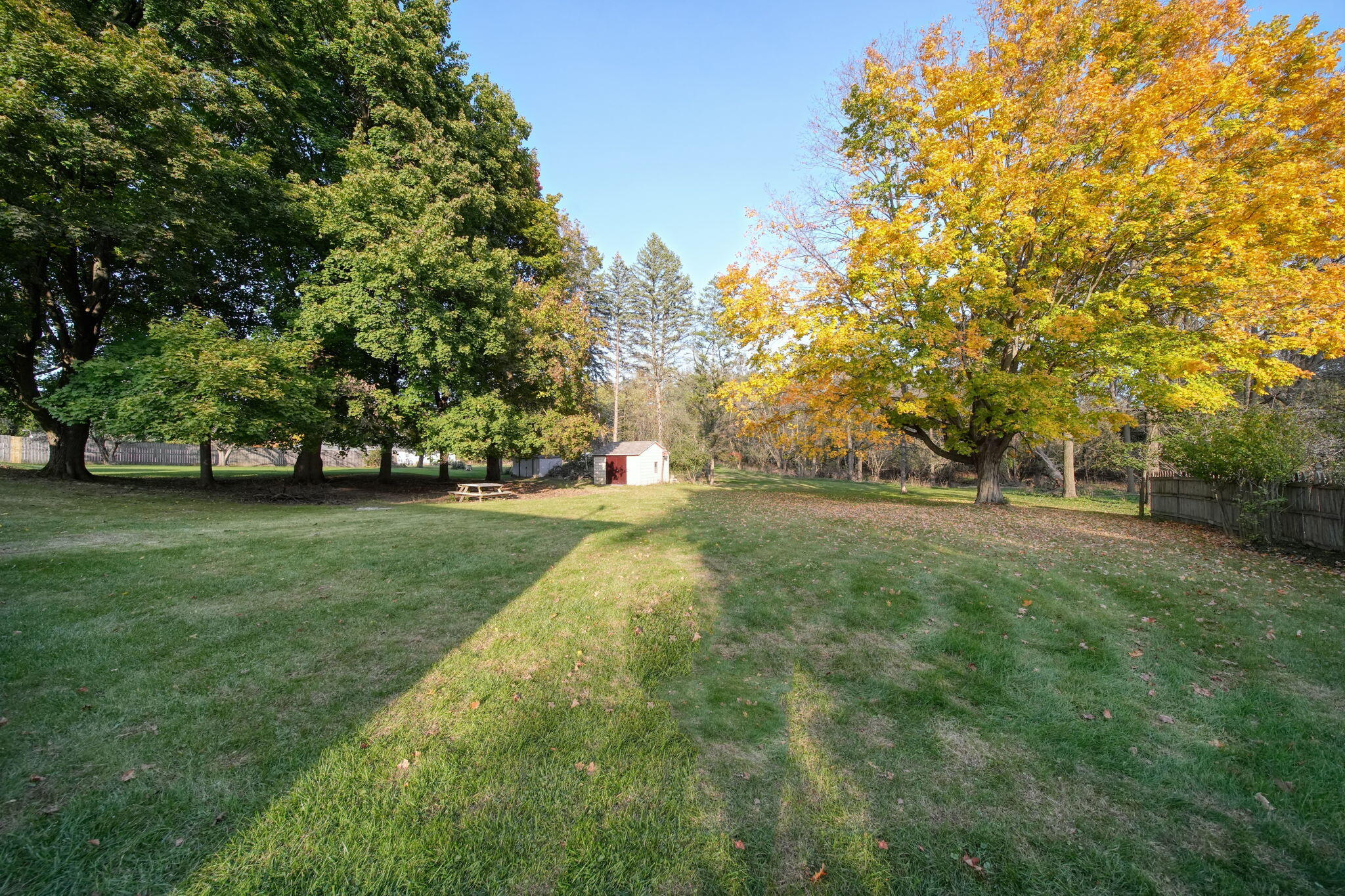 707 Leo Road Jackson, MI 49203 - Photo 42 of 46 43-web-or-mls-DSC05540_HDR