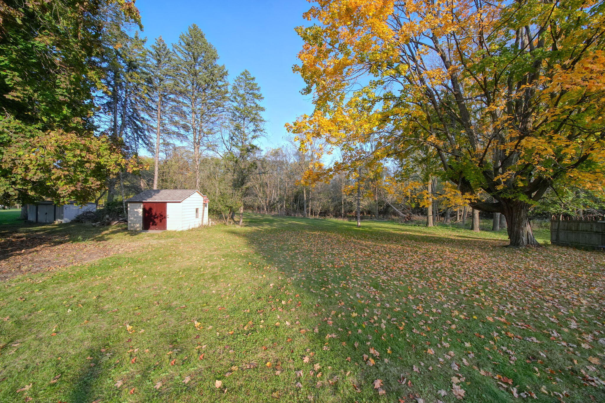 707 Leo Road Jackson, MI 49203 - Photo 43 of 46 44-web-or-mls-DSC05550_HDR