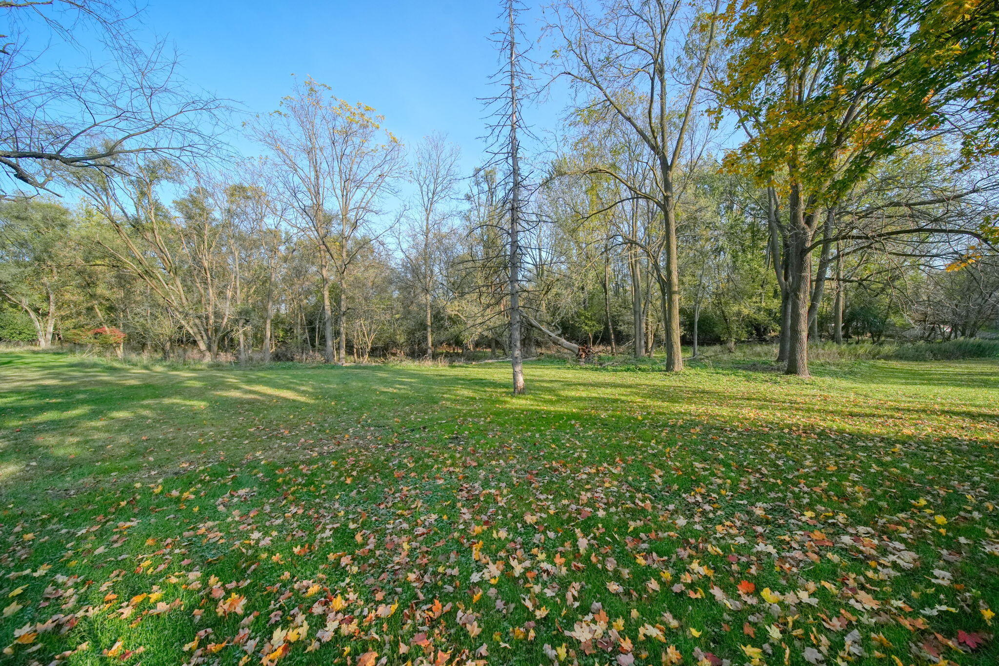 707 Leo Road Jackson, MI 49203 - Photo 45 of 46 46-web-or-mls-DSC05560_HDR
