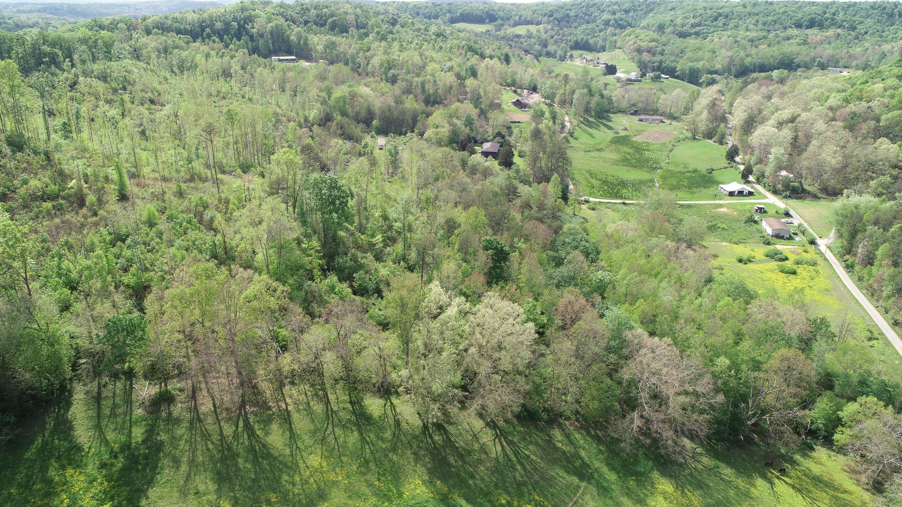 395 Ainer Jackson Road Corbin, KY 40701 - Photo 16 of 18 DJI_0267
