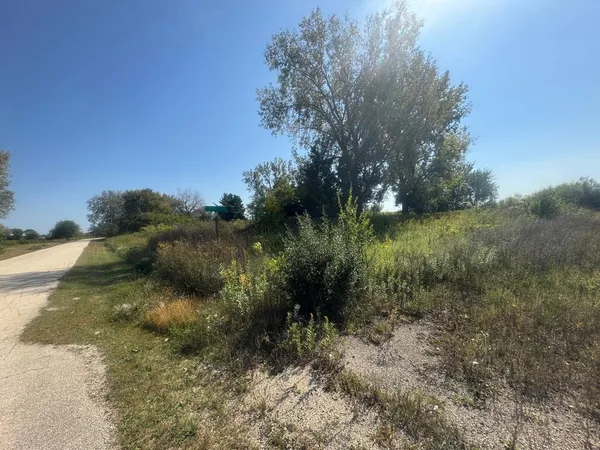 a view of a yard
