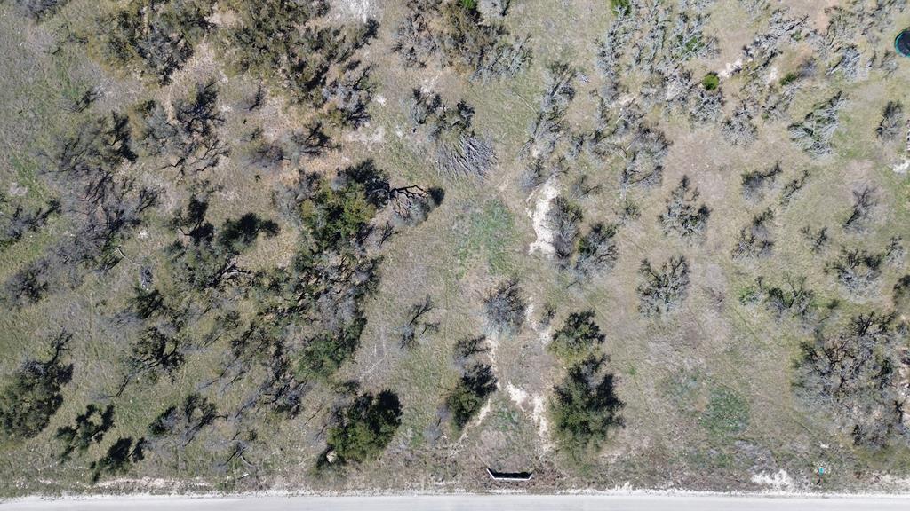 Lot 4 Scott Branch Road, Unit 4 Harper, TX 78631 - Photo 12 of 15 a view of a dry yard with a dry yard
