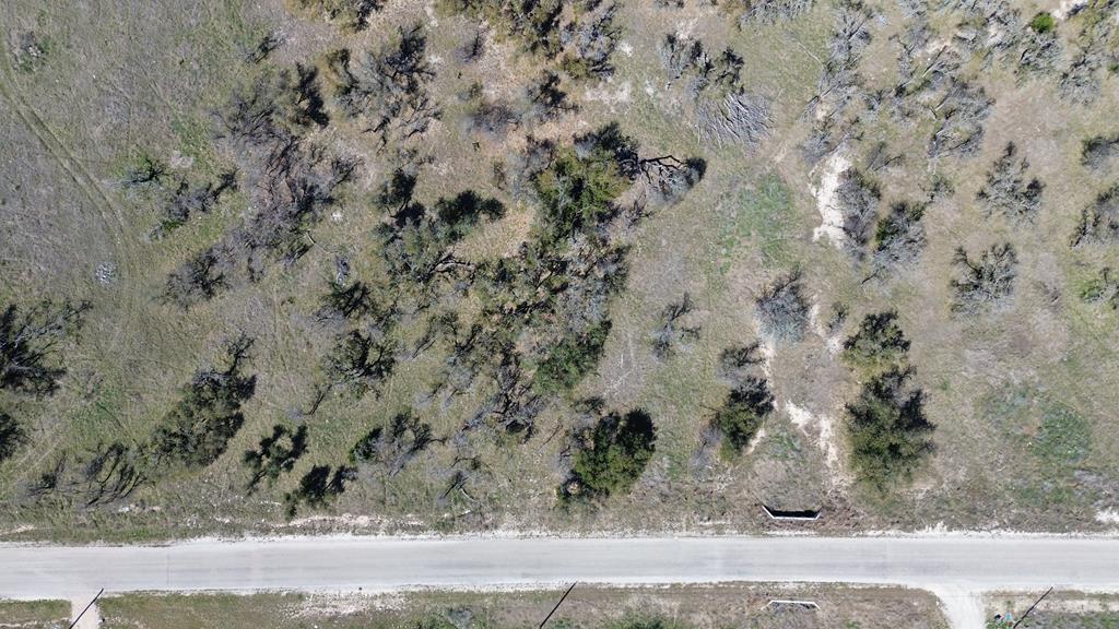 Lot 4 Scott Branch Road, Unit 4 Harper, TX 78631 - Photo 13 of 15 a view of a yard with a dry yard