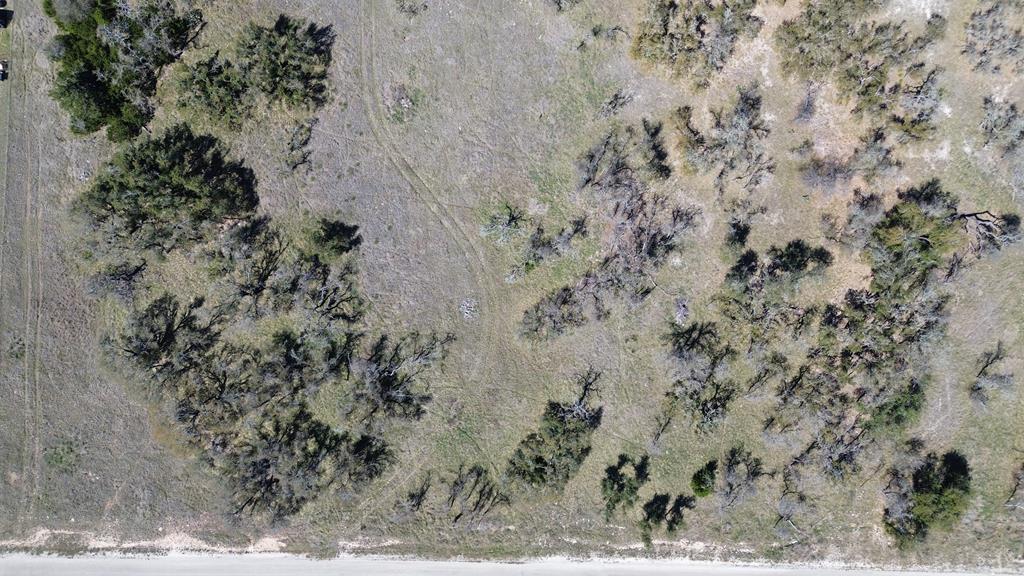 Lot 4 Scott Branch Road, Unit 4 Harper, TX 78631 - Photo 14 of 15 a view of a dry yard with trees in the background
