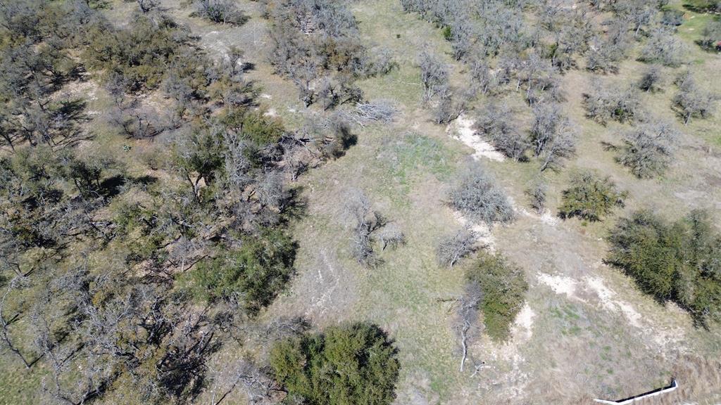 Lot 4 Scott Branch Road, Unit 4 Harper, TX 78631 - Photo 15 of 15 a view of a yard