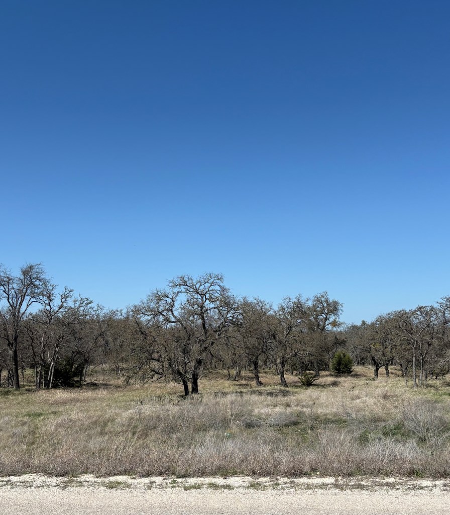 Lot 4 Scott Branch Road, Unit 4 Harper, TX 78631 - Photo 2 of 15 a view of a dry yard with trees