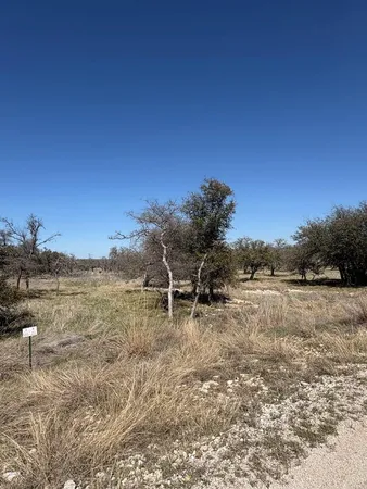 a view of a dry field with trees in the background