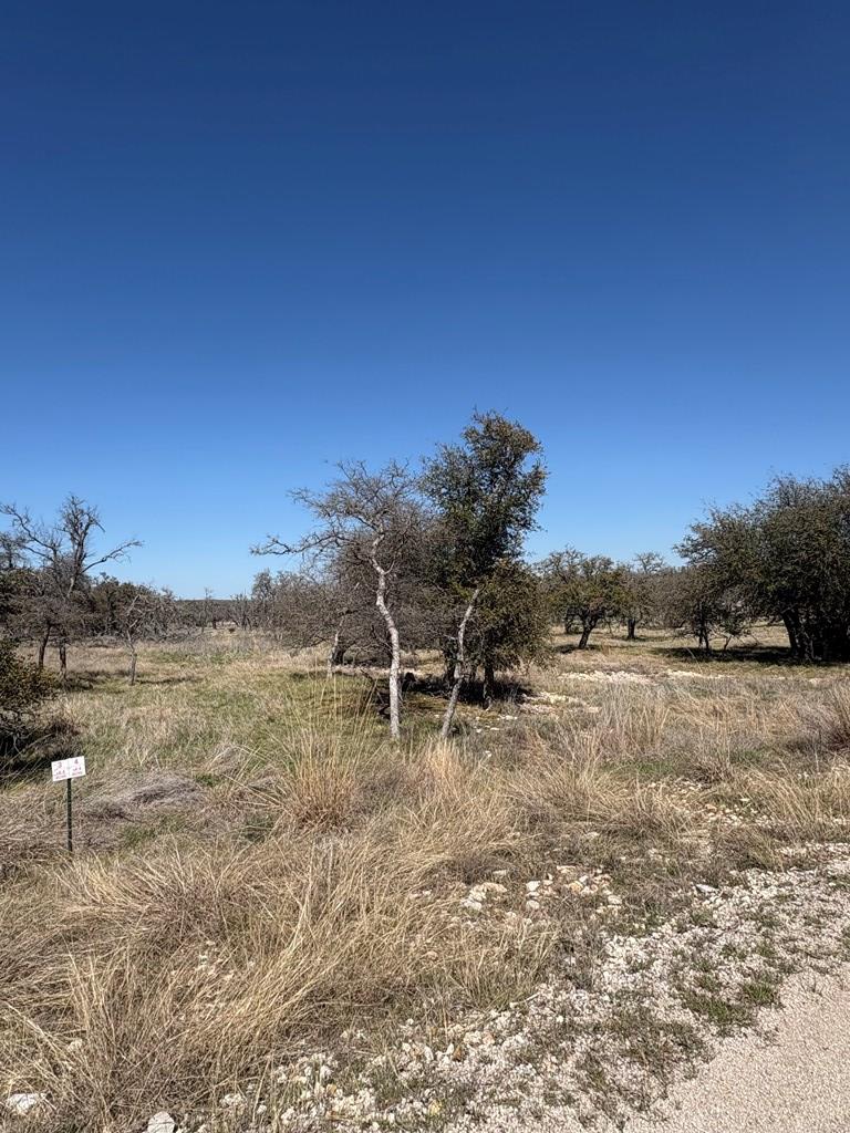 Lot 4 Scott Branch Road, Unit 4 Harper, TX 78631 - Photo 4 of 15