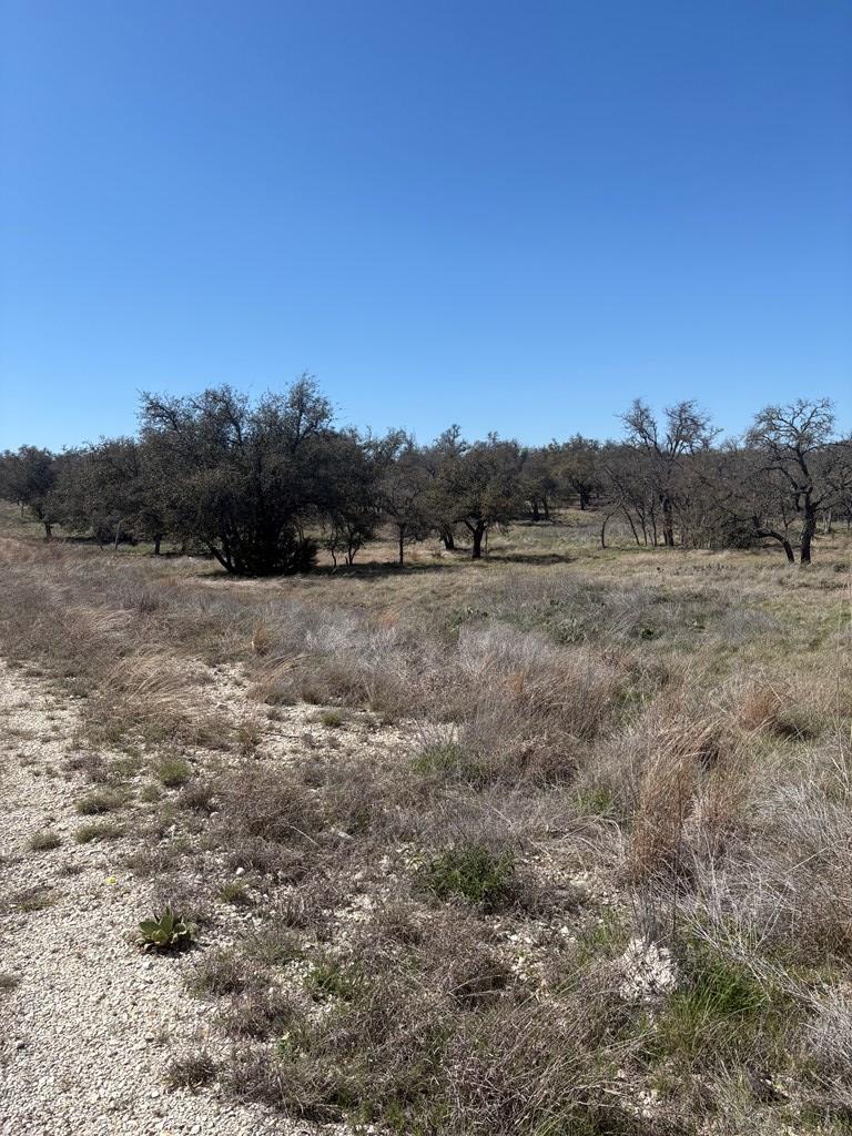 Lot 4 Scott Branch Road, Unit 4 Harper, TX 78631 - Photo 5 of 15 a view of a dry field with trees in the background