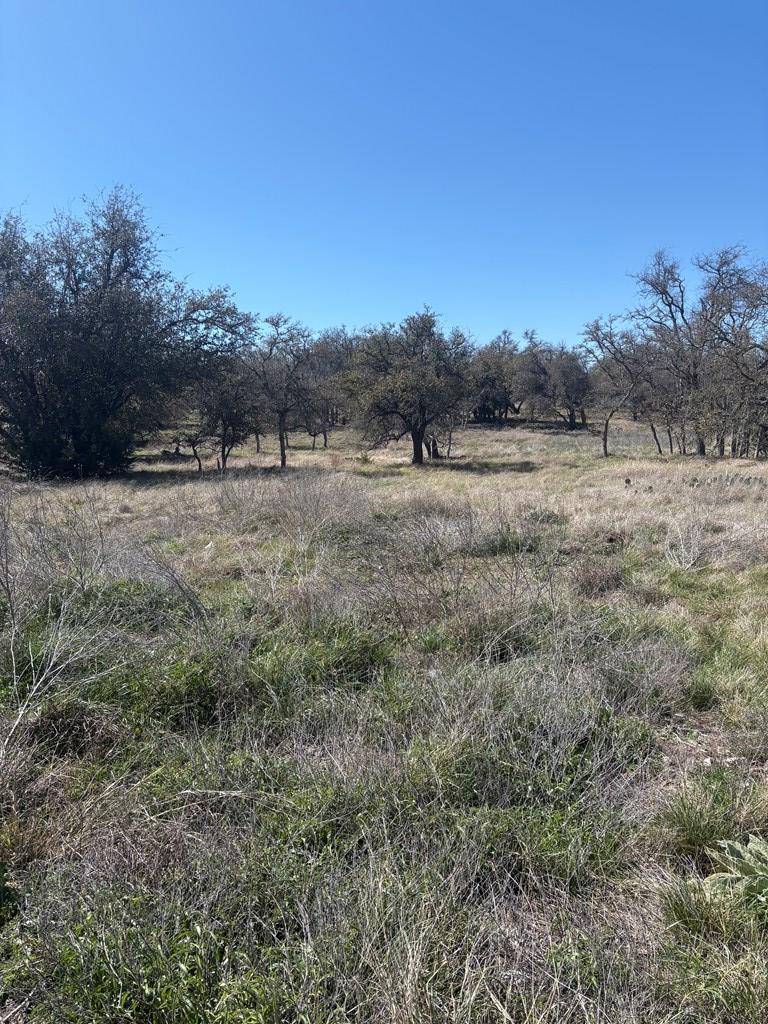 Lot 4 Scott Branch Road, Unit 4 Harper, TX 78631 - Photo 6 of 15 a view of an outdoor space and a yard