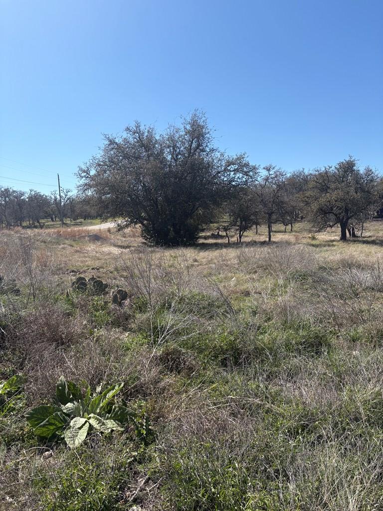 Lot 4 Scott Branch Road, Unit 4 Harper, TX 78631 - Photo 7 of 15 a view of dirt field and trees