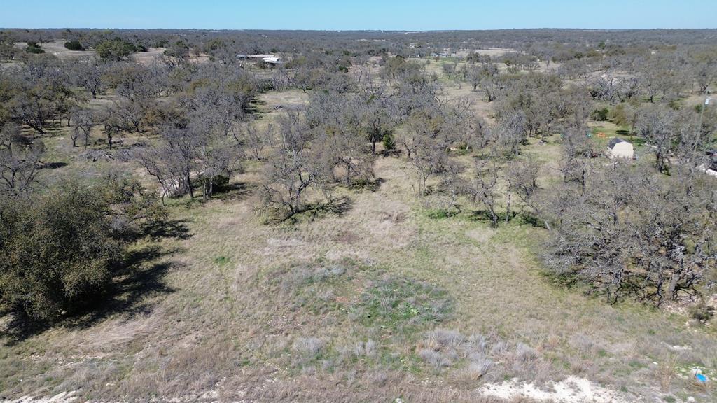 Lot 4 Scott Branch Road, Unit 4 Harper, TX 78631 - Photo 9 of 15 a view of a dry field with trees in background