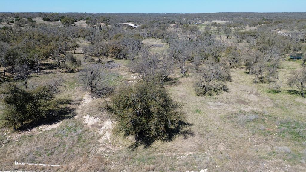 Lot 4 Scott Branch Road, Unit 4 Harper, TX 78631 - Photo 10 of 15 a view of a dry field