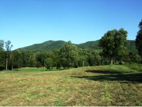 Land View
