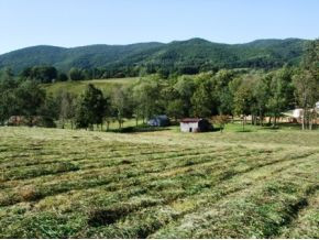 Land View