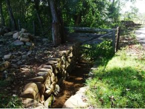 Small Creek