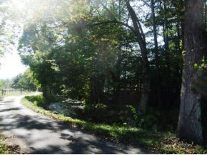 0 Campbell Road Elizabethton, TN 37643 - Photo 8 of 8 Road View with Stoney Creek
