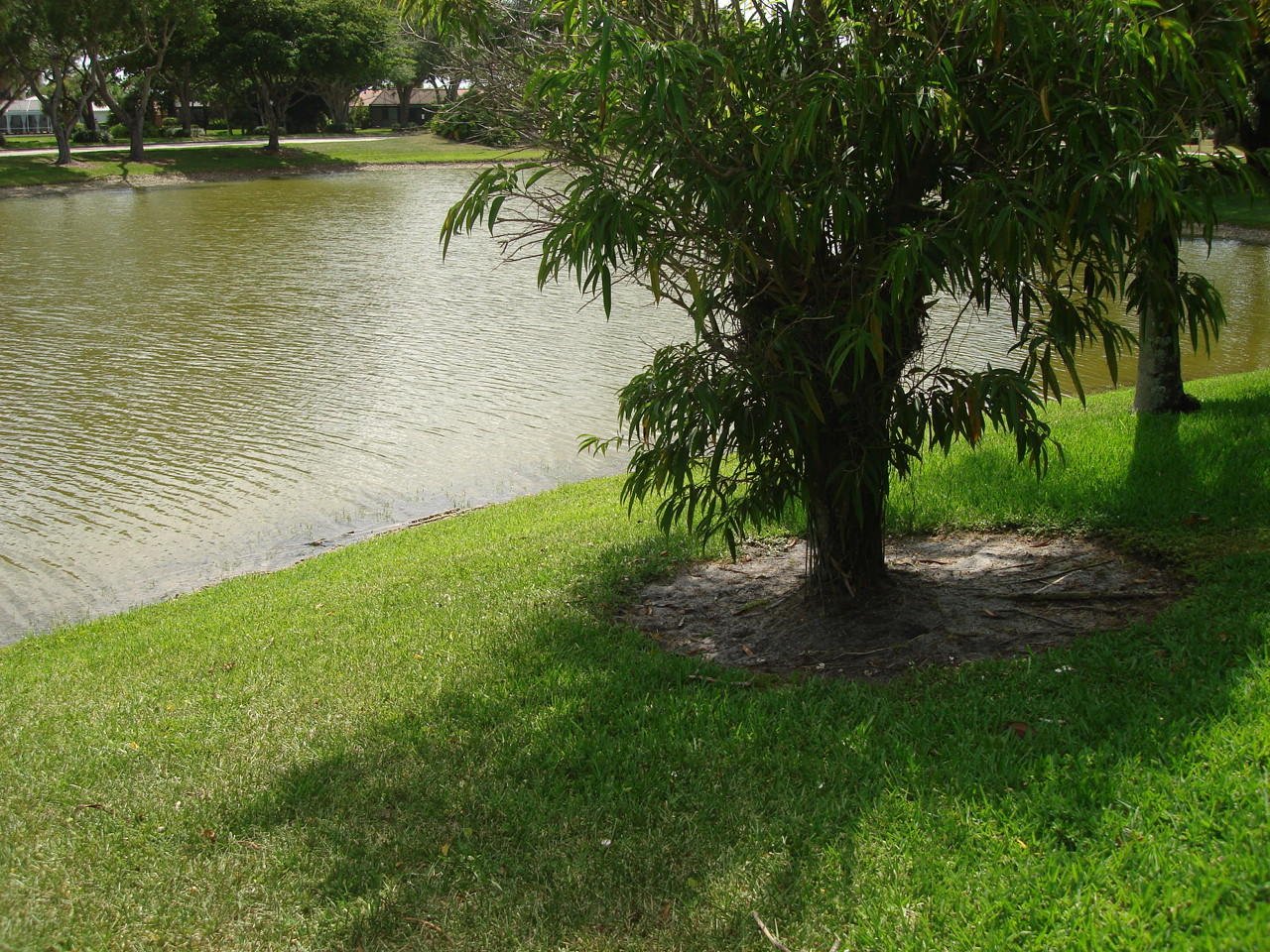 19624 Back 9 Drive Boca Raton, FL 33498 - Photo 14 of 19 DSC09431
