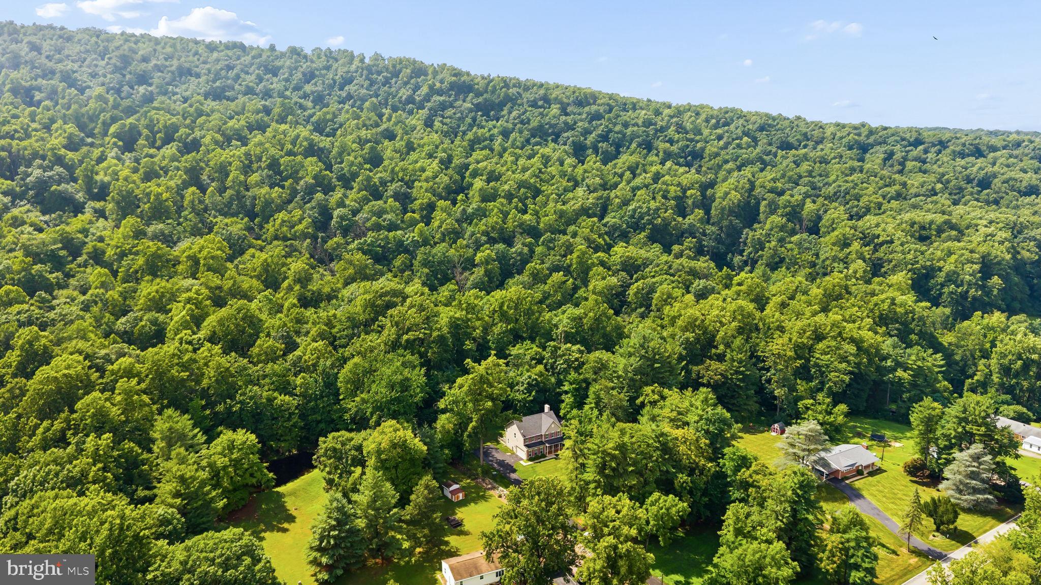 3010 Kaetzel Road Rohrersville, MD 21779 - Photo 10 of 58