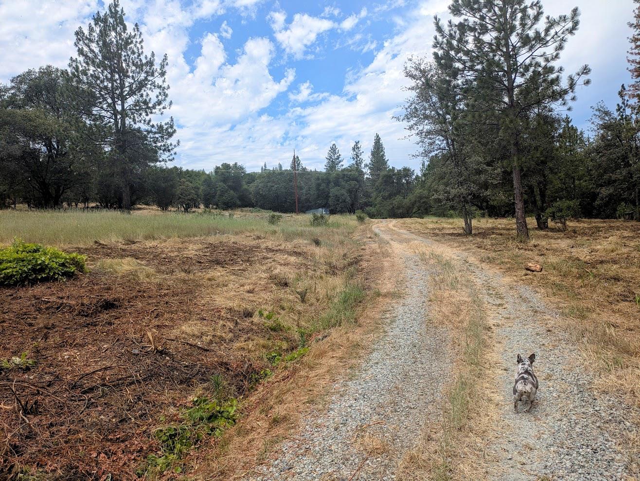 12998 Tyler Foote Road Nevada City, CA 95959 - Photo 3 of 33