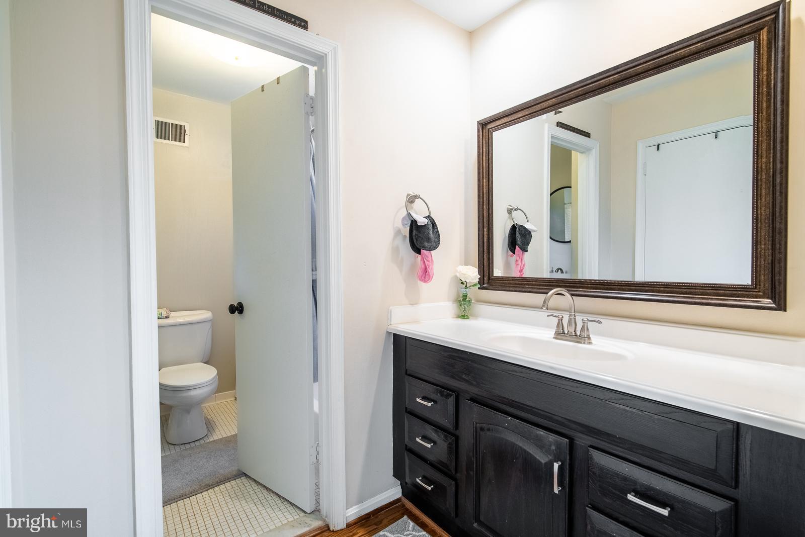 7211 Racepoint Way Alexandria, VA 22315 - Photo 17 of 40 Gallery Image 17