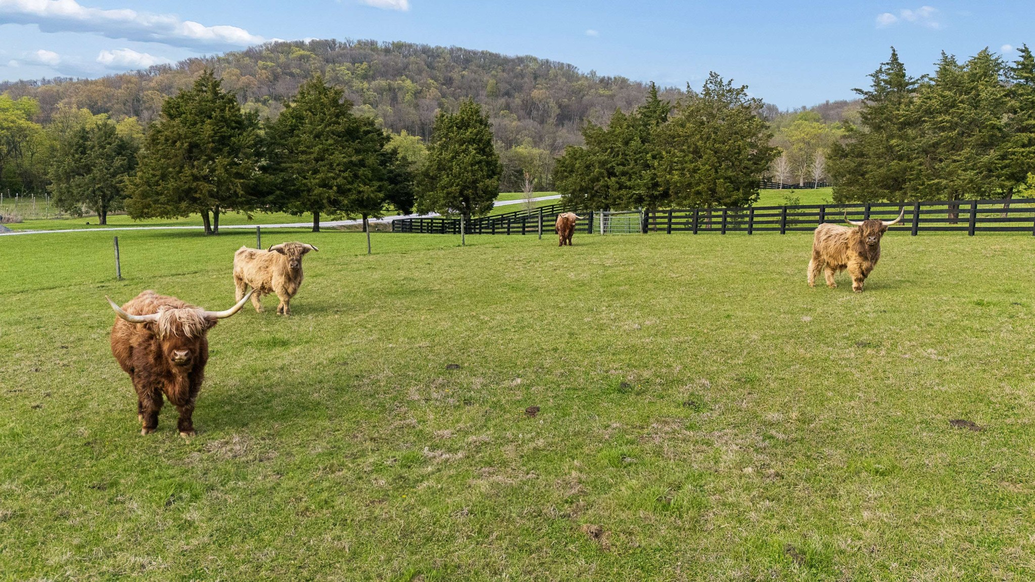 500 Coop Road Bell Buckle, TN 37020 - Photo 10 of 23