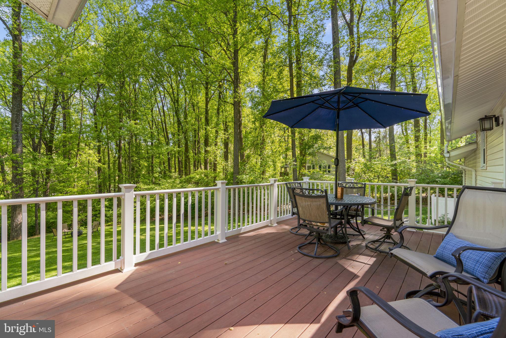 7968 Browns Bridge Road Highland, MD 20777 - Photo 32 of 49 An amazing place for entertaining