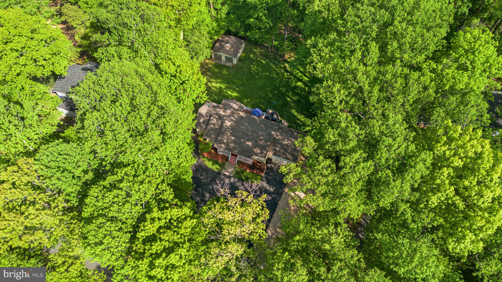 7968 Browns Bridge Road Highland, MD 20777 - Photo 45 of 49 Private and serene wooded lot