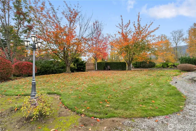 a view of yard with tree