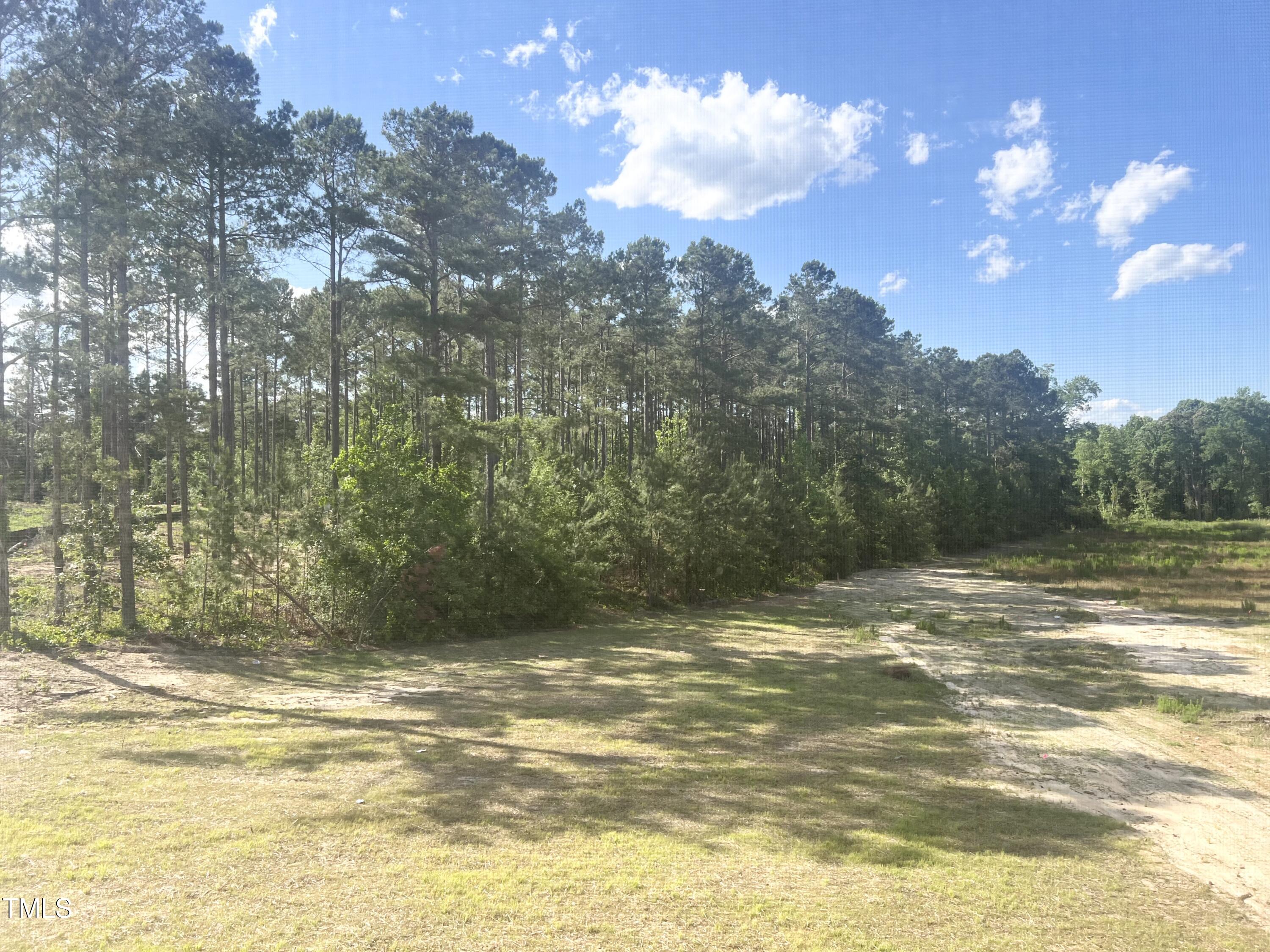 63 Tee Time Terrace Four Oaks, NC 27524 - Photo 31 of 36